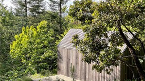 Une cabane en bois, dotée d’un toit en pente, entourée d’une végétation luxuriante et d’arbres.