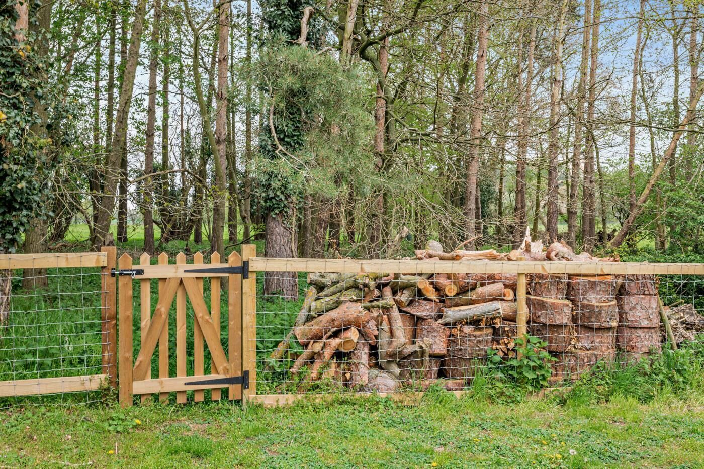 Área da propriedade