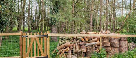 Área da propriedade