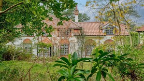 Une maison traditionnelle avec un toit en tuiles, de nombreuses fenêtres et entourée de verdure.