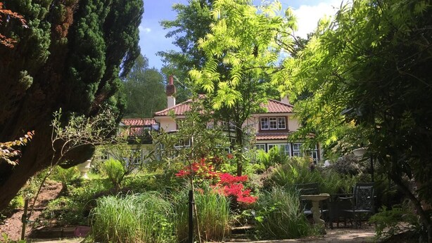 Une maison entourée d’une végétation luxuriante et bordée d’un chemin en pierre.