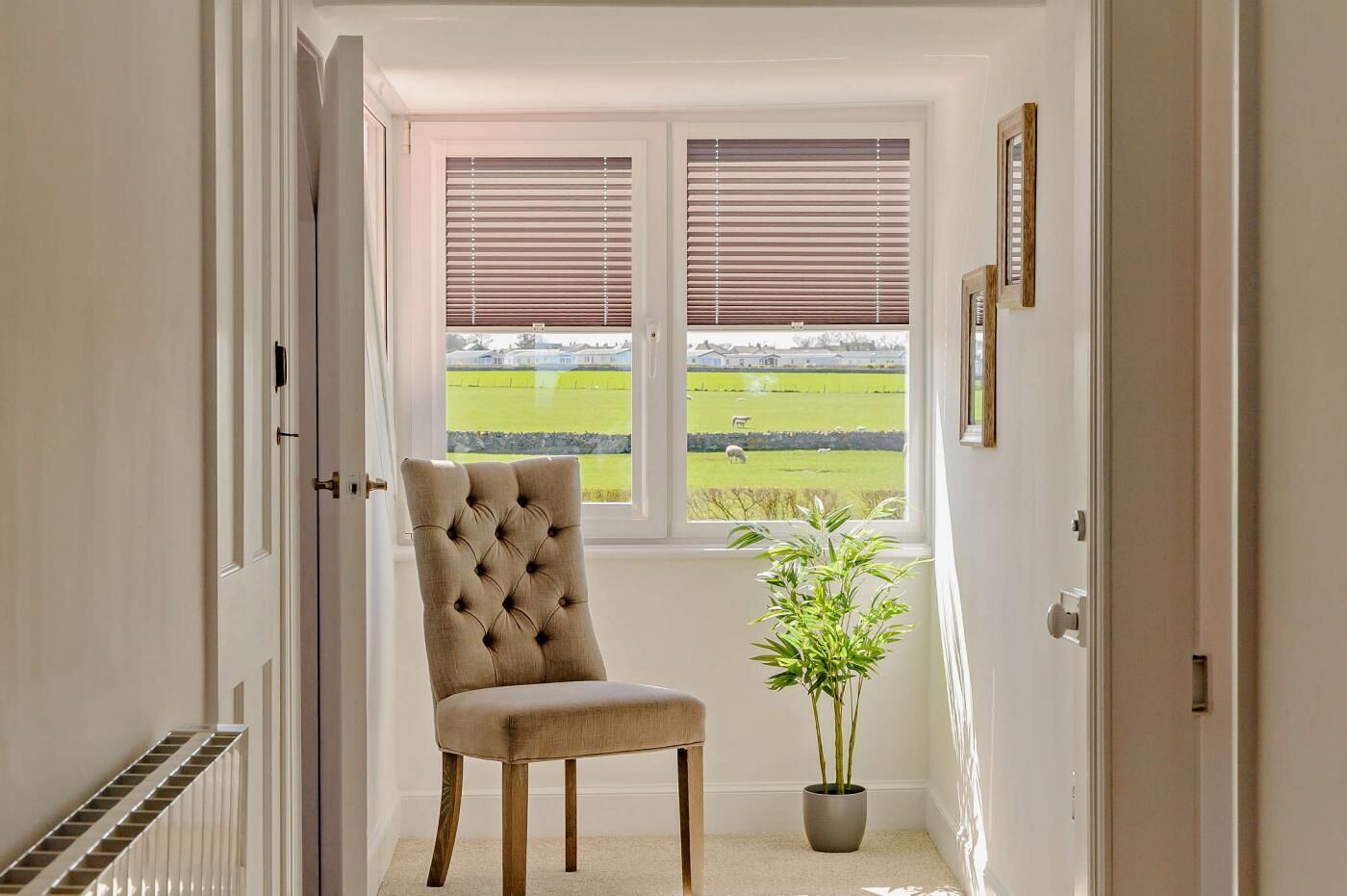 Un pasillo con una silla, una planta en maceta, una ventana con persianas y una puerta.