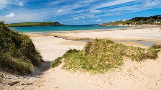 Une plage avec un ciel dégagé, un rivage sablonneux et des dunes herbeuses.