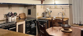 HAZAS HOUSE. Stone and wood house with garden, ideal for family trips.