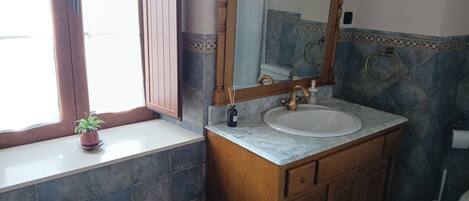 Shower, hair dryer, bidet, towels