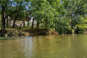 A serene riverside view with a duck swimming, surrounded by lush greenery and a building with a balcony. - 1 Mile to Parkway | Hot Tub | River Access | Pets (Pigeon Forge)