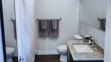 Hair dryer, bidet, towels, soap