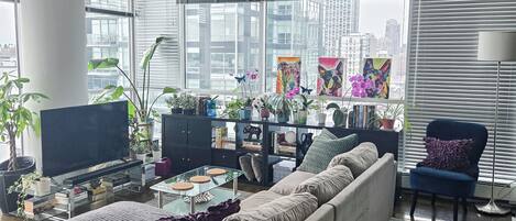 Smart TV, books