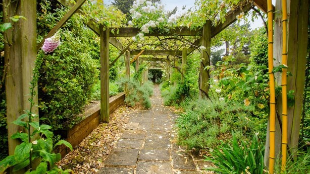 En stenlagd gång som leder genom en trädgård med en pergola av trä, omgiven av frodig grönska och blommande växter.