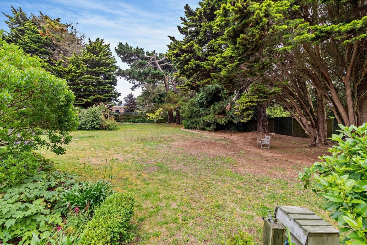 A garden with a grassy lawn, a wooden bench, and various trees and shrubs.