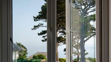 A view through a window with a clear sky, a large tree, and a distant building.
