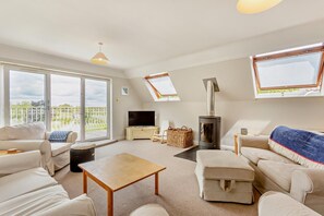 تلفزيون، مدفأة