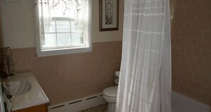 Chuveiro, secador de cabelo, toalhas de banho 