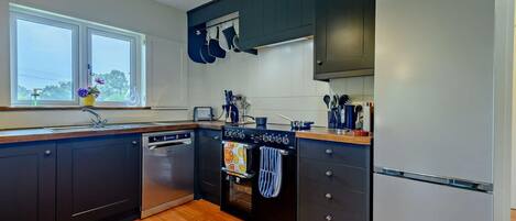 Horno, lavavajillas y utensilios de cocina