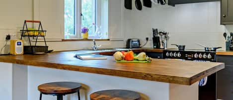 Oven, dishwasher, cookware/dishes/utensils