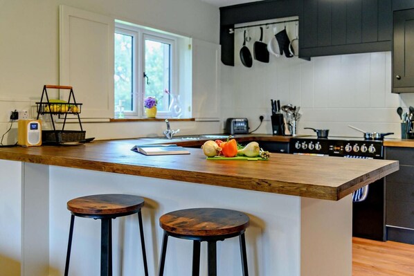 Oven, dishwasher, cookware/dishes/utensils