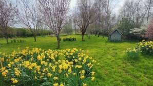 A garden with yellow daffodils, green grass, and trees. - 2 Bed in Gimingham (oc-h27869) (Gimingham)
