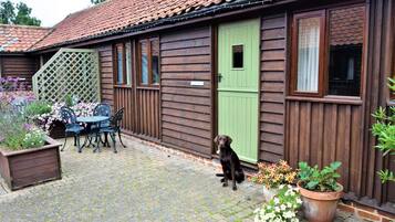 A wooden house with a green door, a patio with a table and chairs, and a dog standing by the door.