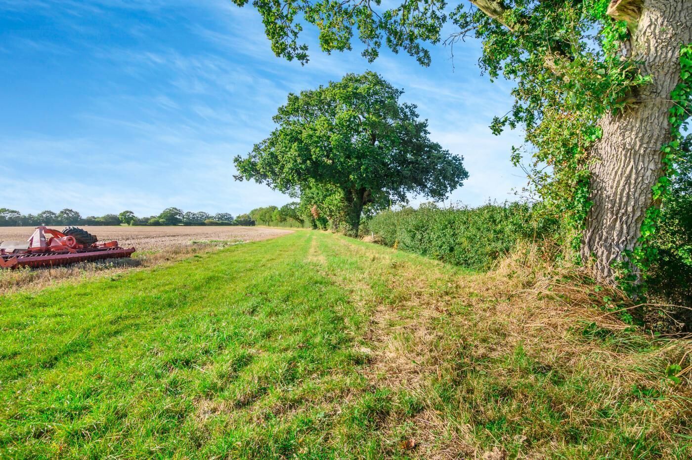 Paesaggio rurale con un grande albero, un campo e un macchinario agricolo.