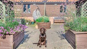 Een hond zit in een tuin met houten plantenbakken en een hangstoel.
