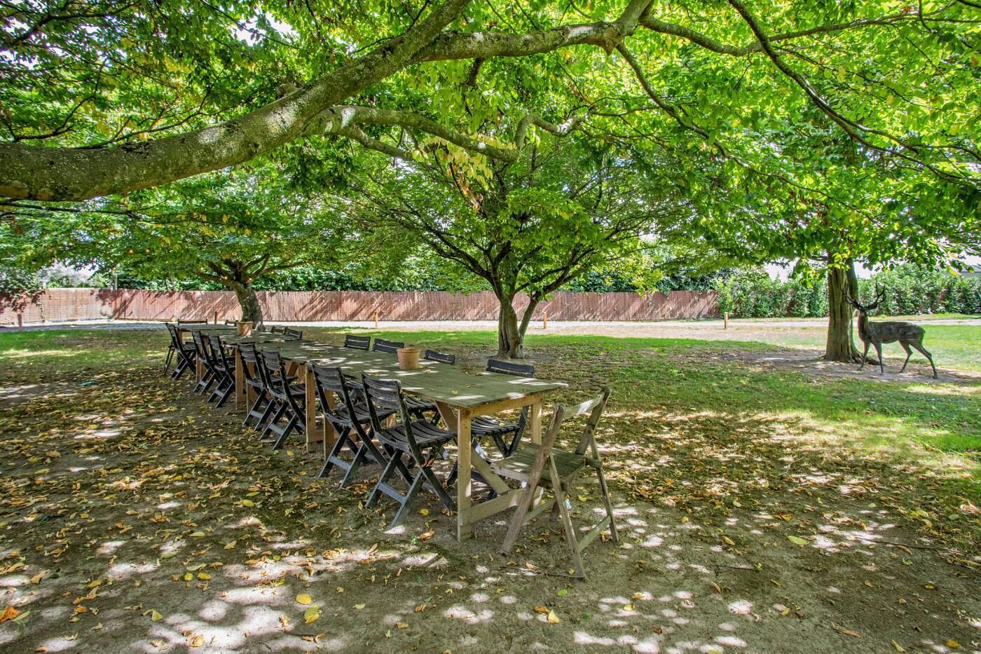 Een buiten-eetgedeelte met een lange tafel en stoelen onder een grote boom, omgeven door een gazon met een hek op de achtergrond.