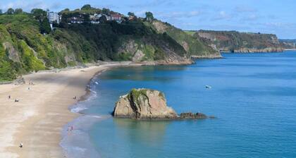 2 Bed in Narberth (oc-s28094)