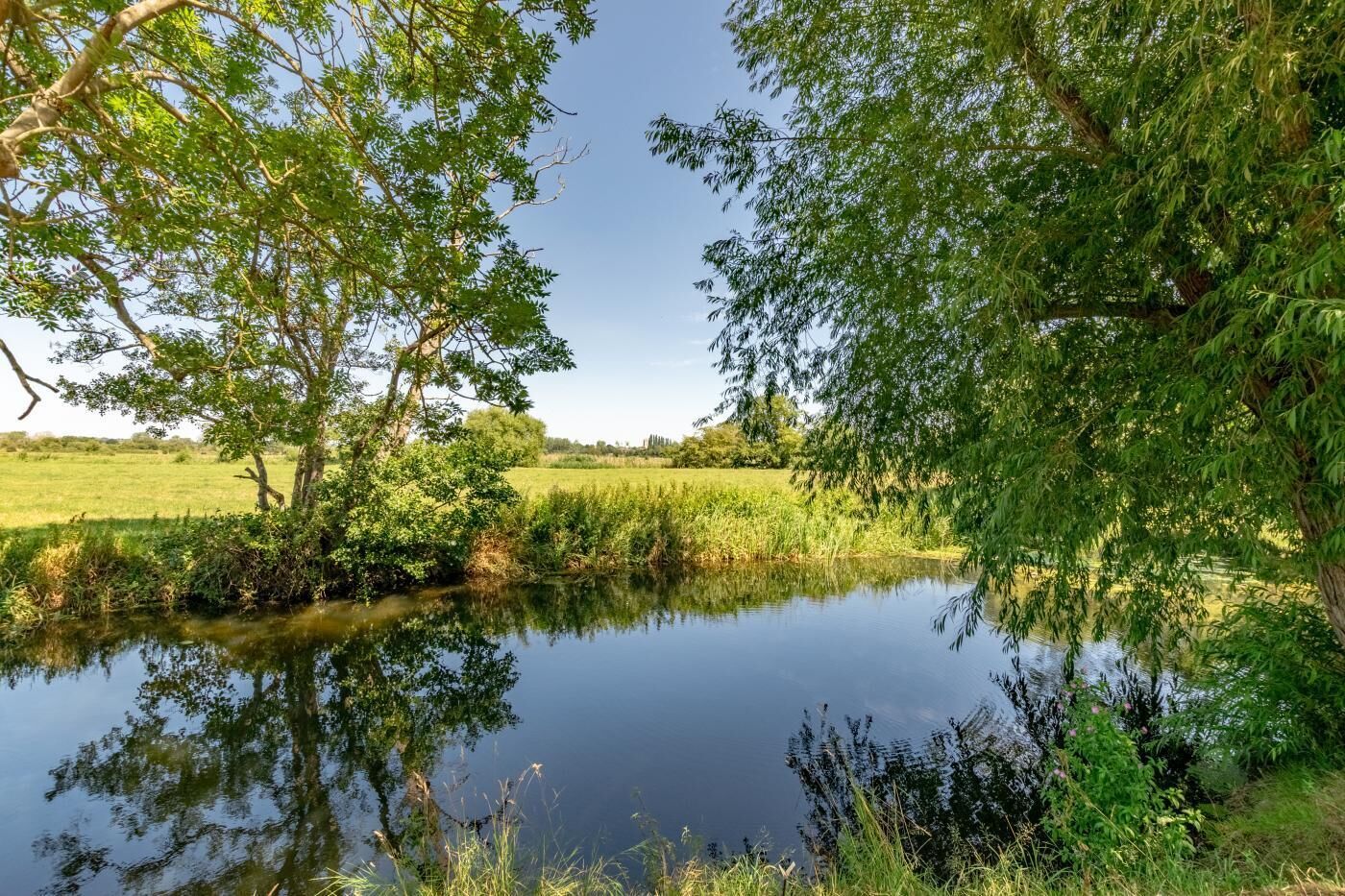 Une rivière paisible, bordée d’une végétation luxuriante de chaque côté, dans laquelle se reflètent les arbres et le ciel.