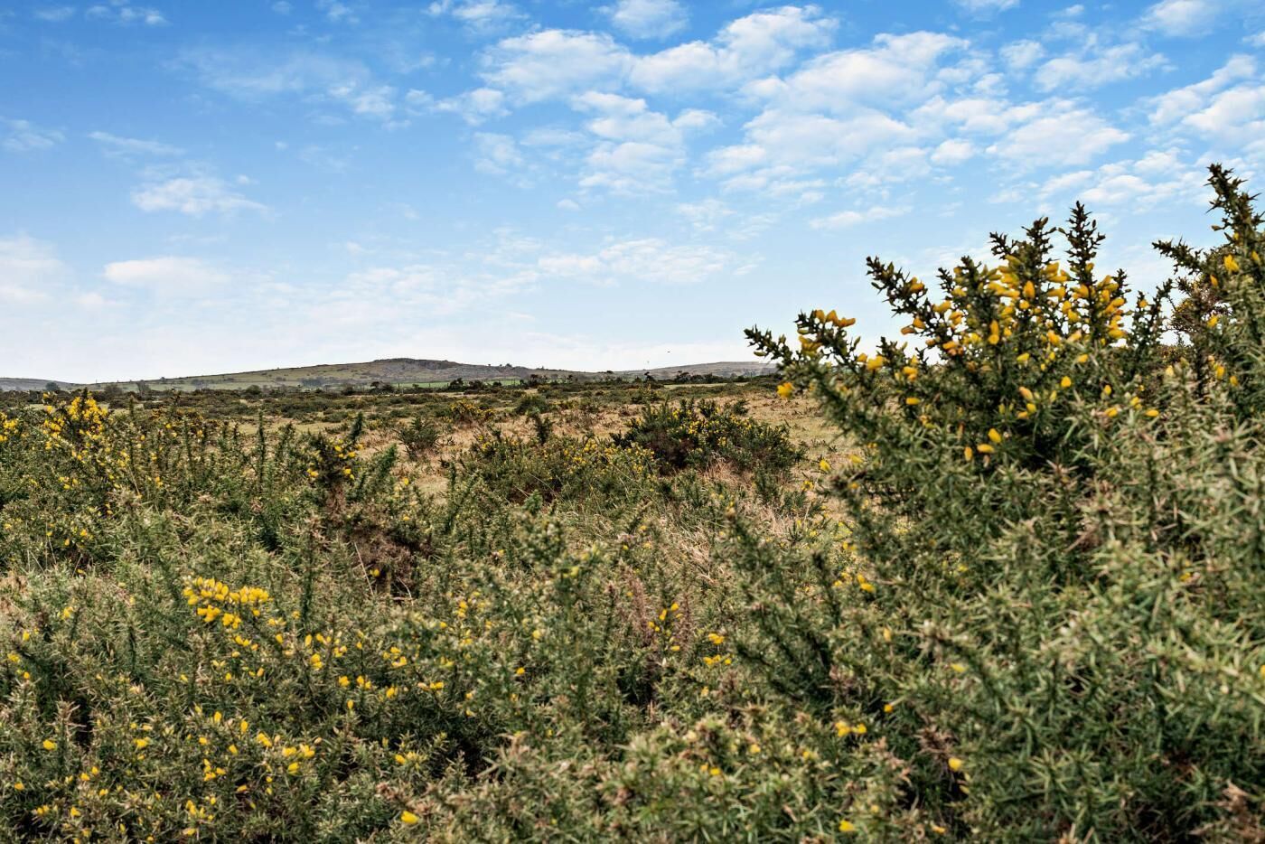 Un paysage naturel caractérisé par un ciel dégagé, des collines douces et une végétation clairsemée.