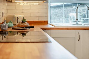 Microondas, horno, lavavajillas y periquera 