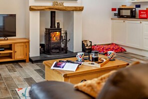 تلفزيون، مدفأة