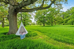 المنطقة المحيطة بالمنشأة