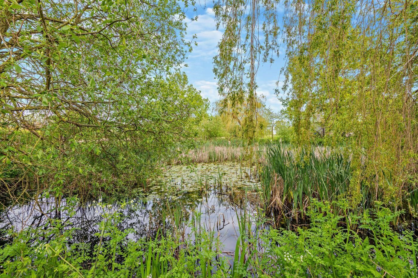A natural landscape with a water body surrounded by dense vegetation and trees.