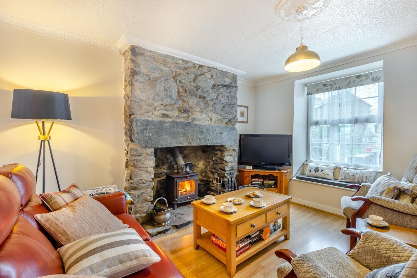TV, fireplace