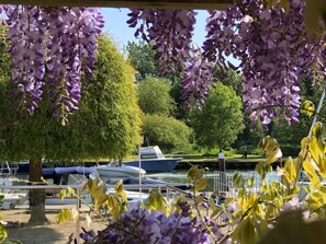 A boat docked near a tree with purple flowers, a clear sky, and a calm body of water. - 2 Bed in Christchurch (oc-r27892) (Christchurch)
