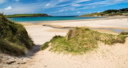 3 Bed in Hellandbridge (oc-b28323)