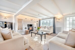TV, fireplace