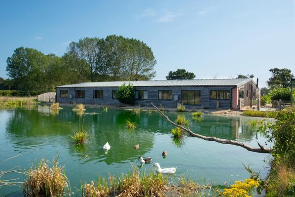 A rustic building with a pond in front, surrounded by trees and vegetation. - 10 Bed in Briston (oc-mjbrdb) (Briston)
