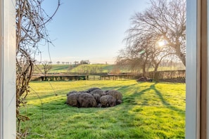 Property grounds - 3 Bed in Monk Soham (oc-h28366) (Monk Soham)