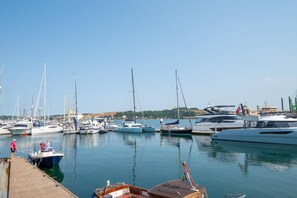 Un port de plaisance où sont amarrés différents types de bateaux, un ciel dégagé et une personne debout sur le quai.