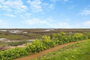 Eine Küstenlandschaft mit einem Feldweg, grüner Vegetation und flachem Gelände, das sich bis zum Horizont unter einer teils bewölkten Himmel erstreckt.