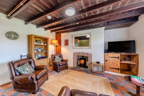 TV, fireplace - 3 Bed in Llanrhystud (oc-m28913) (Llanrhystyd)