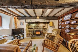 TV, fireplace - 2 Bed in Bontddu (oc-t28147) (Bontddu)