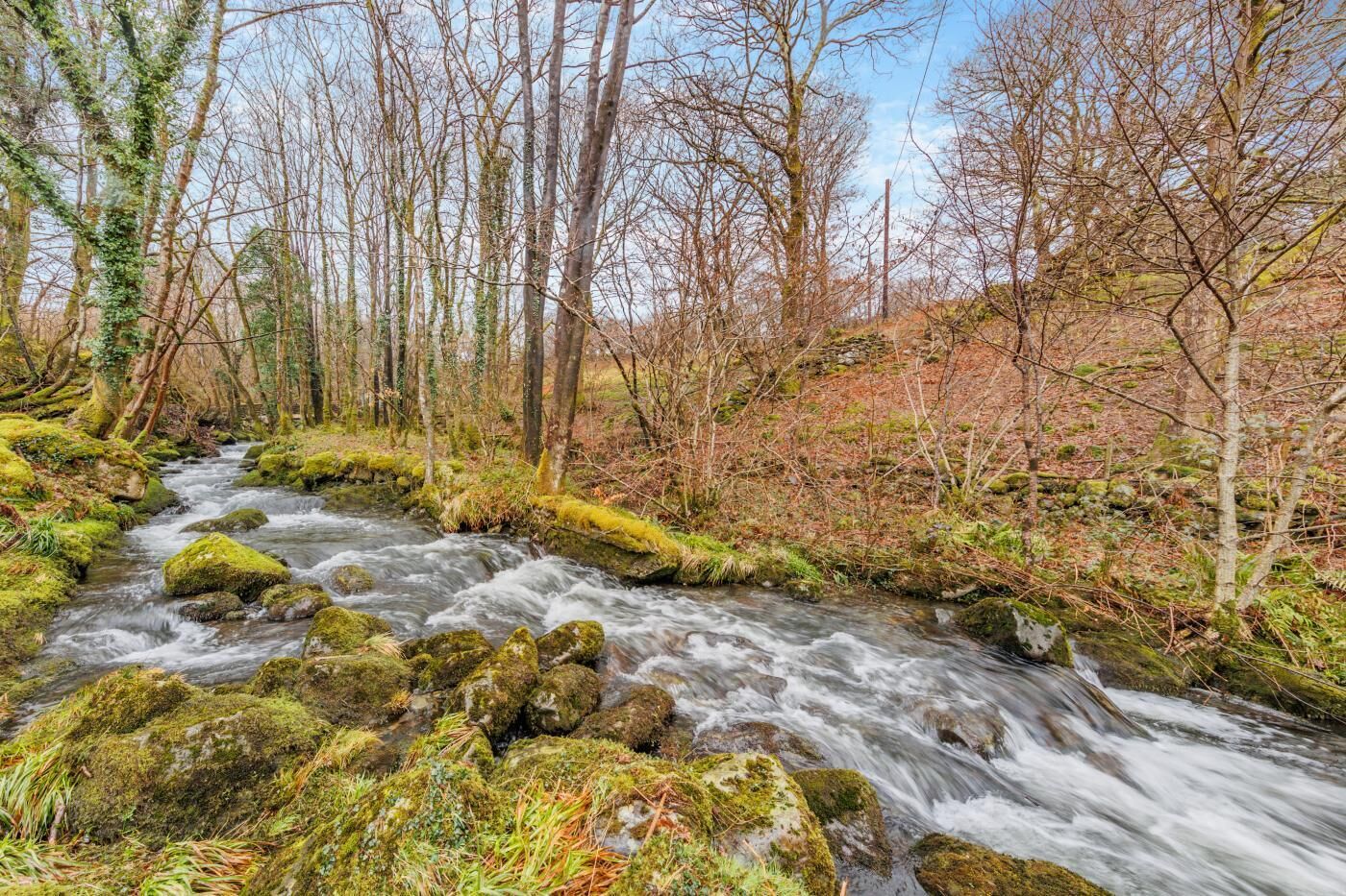 En strömmande flod med mossbeklädda stenar och träd i bakgrunden.