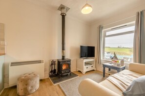 TV, fireplace - 2 Bed in Bishopston (oc-h28996) (Bishopston)