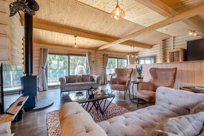 Televisión y chimenea 