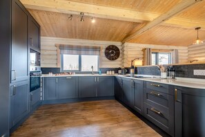 Microondas, horno, lavavajillas y periquera 