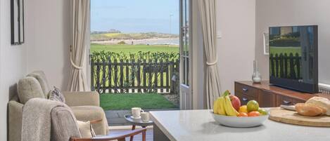 Televisión y chimenea