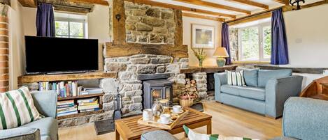 Télévision, cheminée