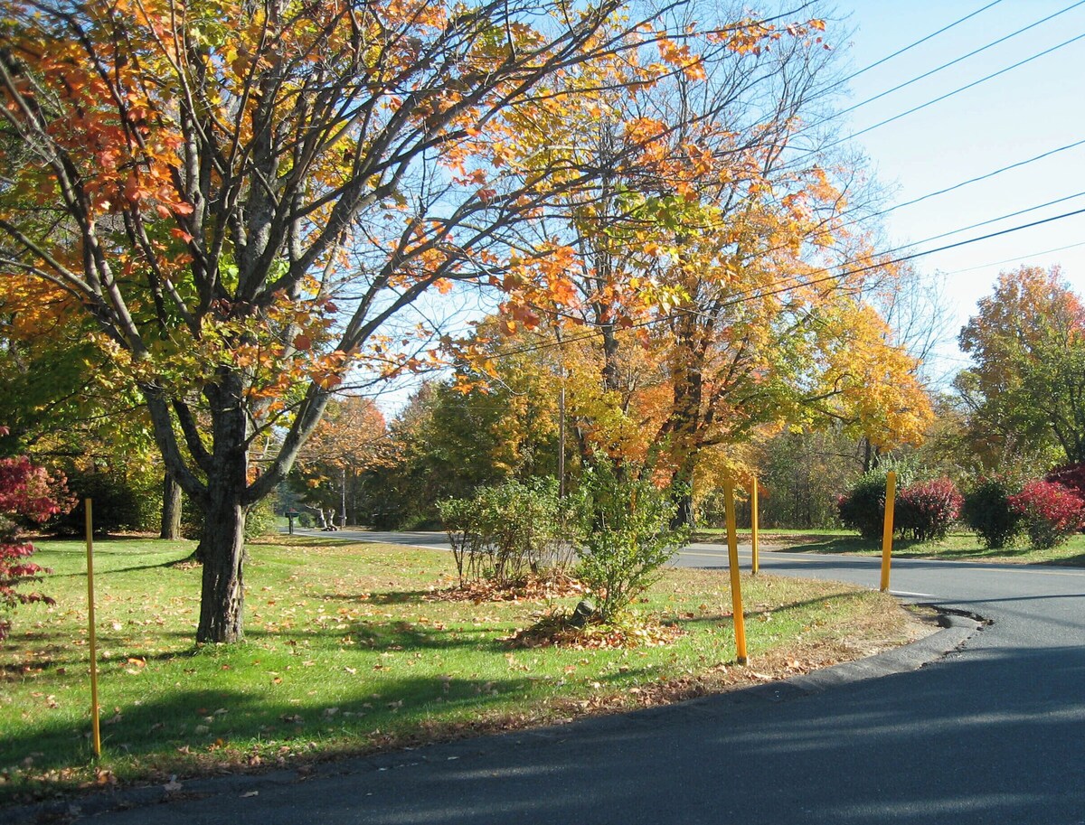 Imagen de perfil del propietario o de la propietaria