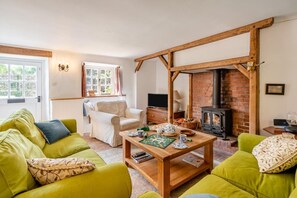 TV, fireplace - 3 Bed in Martinstown (oc-c29083) (Martinstown)